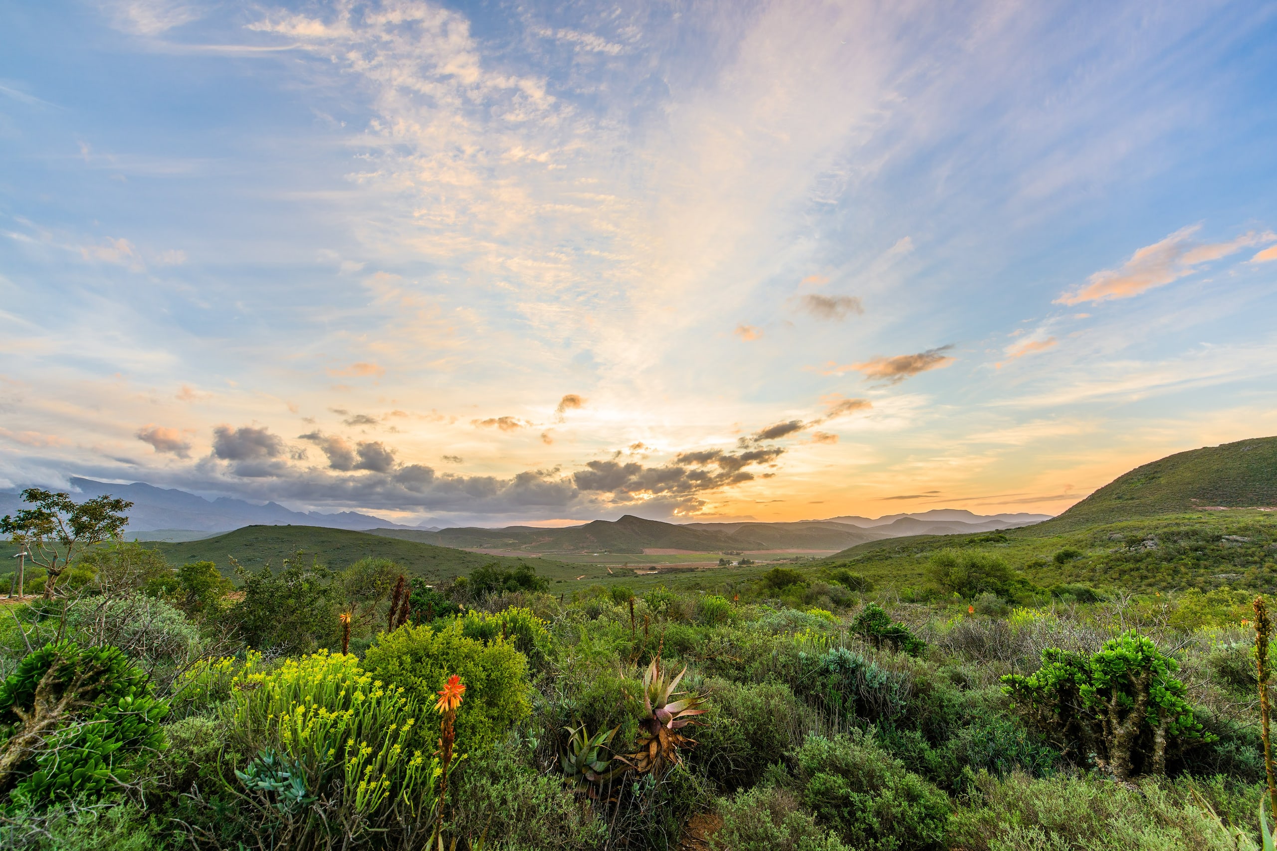 Sunset over the green hills and gardens at Kampala Farm